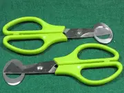 2 Pack Quail Egg Scissors/ Cigar Cutter. USA Shipper