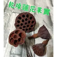 在飛比找蝦皮購物優惠-蓮花果實 自然乾燥果實 永生花 乾燥花 天然素材 不凋花 乾