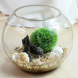 烏龜缸 魚缸生態圓形玻璃金魚缸烏龜缸桌面小型造景水培花瓶圓型小魚缸