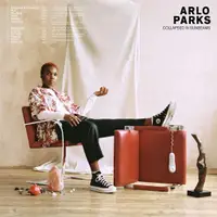 在飛比找蝦皮購物優惠-Arlo Parks - Collapsed In Sunb