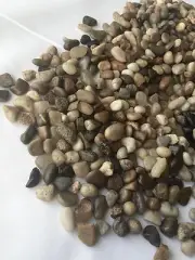 50Lb Decorative Polished Pebbles/River Rocks/Aquarium Gravel (Small, Mixed 50Lb)