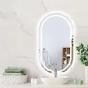 EMITTO LED Wall Mirror Oval Anti-Fog Bathroom Mirrors Makeup Light 60x100cm