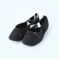 在飛比找Yahoo!奇摩拍賣優惠-正品法國三沙sansha舞蹈練功鞋/教師鞋T5帆布