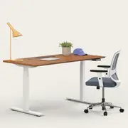 Recess Active Bundle | Ergonomic Chair Desk | Home Office Furniture Packages, Slate / Small - 120W x 70D (cm) / Walnut/White