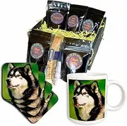 3dRose cgb_722_1 Alaska Malamute Dog-Coffee Gift Basket, Multicolor