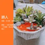 LED燈 原創設計 詩人 意境多肉盆栽 開幕盆栽 多肉植物 網紅植物 室內植物 綠化盆栽 陽台植物