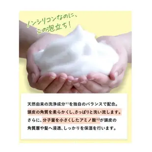 (Japan) Haru KUROKAMI -  氨基酸、植物、護髮、損傷護理、染髮、紫外線、頭皮清潔、頭皮氣味、止癢
