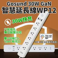 在飛比找momo購物網優惠-【小米】Gosund Gan 智慧延長線 WP12(酷客 小