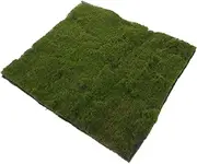Kisangel Artificial Grass Turf Decoration Realistic Faux Grass Pad for DIY Lawn Craft Moss Style for Sand Table Micro Landscapes and Home Decor