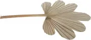 Alipis Artificial Dried Palm Leaves Fan Versatile Decor for Home Wedding Decorations