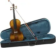 STARTIST 4/4 Violin Set with Case Stringed Musical Instruments Birthday Gifts Play