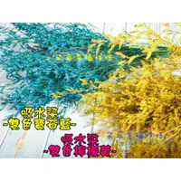 在飛比找蝦皮購物優惠-✿ 花材 批發✿7色 吸水染 卡斯比亞 乾燥花 新娘捧花 乾