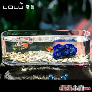 水族箱玻璃魚缸小型創意桌面生態金魚缸水培長方形迷你辦公桌造景水族箱 萌萌小寵