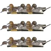 Avian X Topflight Pintails, Realistic Floating Decoys, Set of 18, Multicolor