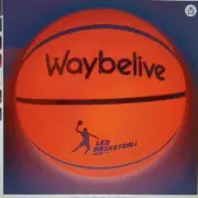 Glow in the dark basketball Size 7 With Pump, Needle Must Have Cool.