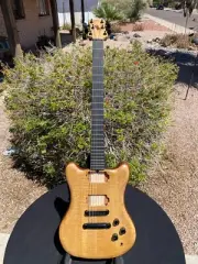 TUSSEY Electric Guitar Boutique? Unique Prototype? Ebony Mahogany Flame Maple