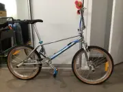 Bob Haro 40th Anniversary Lineage Freestyler BMX Bike