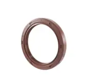 EAI 48x62x8mm FPM/FKM Oil Shaft Rotary Seal w/ Stainless Steel Spring Dbl Lip