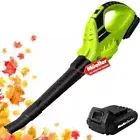 UltraStorm Cordless Leaf Blower, 130 MPH 20 V Powerful Motor, Electric Leaf