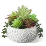 Artificial Succulent Plants Fake Potted Indoor with Ceramic Pot - Home Office...