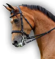 Saddlesworld World Soft Padded Leather Bridle