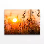 Close Up View of Sunrise Field Print 100% Australian Made 120 x 90cm (Stretched)