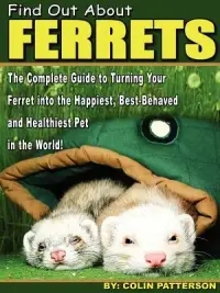 在飛比找博客來優惠-Find Out About Ferrets: The Co