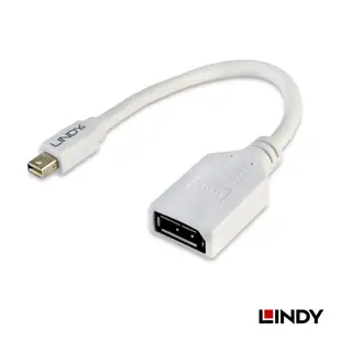 LINDY 轉接器 MINI DISPLAYPORT 公 TO DISPLAYPORT 母 轉接器 20公分 41021