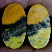 35.10 Cts Natural BumbleBee Jasper Matched Pair Cabochon Gems For Earring Supply