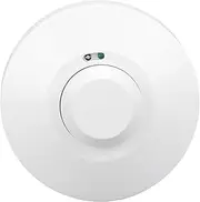 Motion Sensor Ceiling Mounted Switch, 360 Degree Field of View, Customized Delay Off, Ideal for Indoor