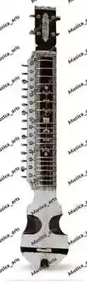 PROFESSIONAL QUALITY CLASSICAL MUSICAL ESRAJ INDIAN TUN WOOD INSTRUMENT