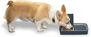 Automatic Dog and Cat Feeder by PetSafe