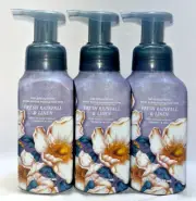 3 Fresh Rainfall & Linen Gentle &Clean Foaming Bath& Body Works Hand Soap 8.75oz