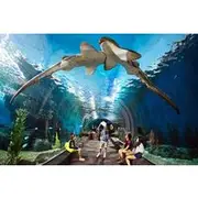 Save 5.30%! Pattaya Underwater World Admission Ticket