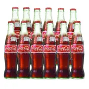 Mexican Glass Bottled Soda 12 Ounce Bundled From Miguel Aleman MX (Coke 12 PK)