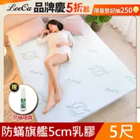 在飛比找PChome24h購物優惠-LooCa法國防蟎防蚊親膚旗艦5cm HT乳膠床墊(雙人5尺