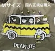 Peanuts Ball And Chain Snoopy Bus M Size Tote Bag Shoulder Bag Handbag Limited
