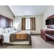 Comfort Inn & Suites Love Field-Dallas Market Center
