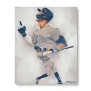 Aaron Judge New York Yankees American League Home Run Record