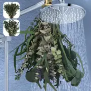 25/123Pcs Mixed Real Dried Eucalyptus Stems Hanging Eucalyptus Lavender✿
