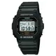 CASIO 卡西歐 G-SHOCK 電子錶 DW-5600E-1VDF