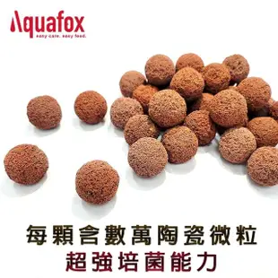 【Aquafox】Powerball陶瓷魔球 生化型1L-22mm-L(超越石英球、生化型)