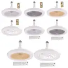 Aromatherapy Ceiling Fan with LED Light Remote Control Modern Ceiling Fan