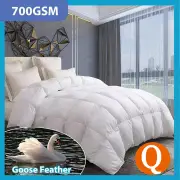 Goose Feather Down Quilt 700 GSM Duvet DoonasQueen:210x210cm
