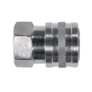 QC Inlet 1/4 BSPF SS 5000 PSI Couple
