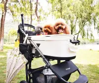 在飛比找Yahoo!奇摩拍賣優惠-現貨 寵物推車日本代購air buggy for dog寵物