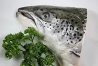 在飛比找Yahoo!奇摩拍賣優惠-【冷凍魚類】鮭魚頭(含魚下巴)半顆 /約385g±5%