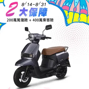 SUZUKI 台鈴機車 SUI 125 七期 _灰色