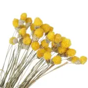 30 Pcs 16 Inch Dried Flowers for Vase Mini Pine Ball Flowers Yellow