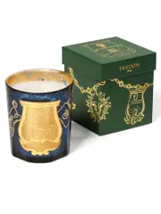 Cire Trudon Fir Candle Christmas Edition 270g